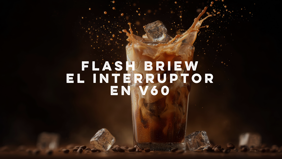Flash Brew El interruptor en V60